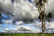 为什么要强调布线标准和机房标准！